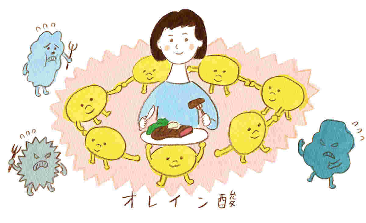 オレイン酸の絵