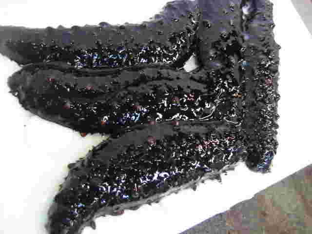 黒光りしている艶のある黒なまこ