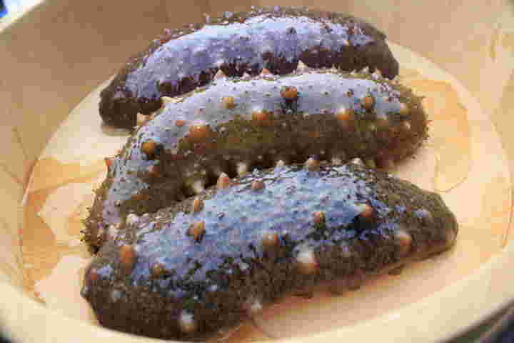 水揚げされたばかりの新鮮ななまこ