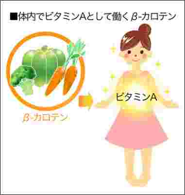 βカロテンの働きイメージ