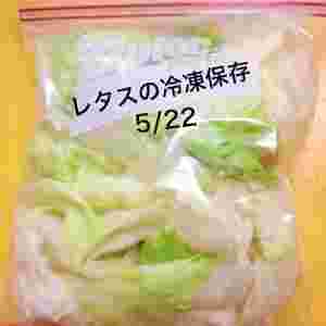 レタスをちぎってフリーザーバッグに入れて冷凍保存