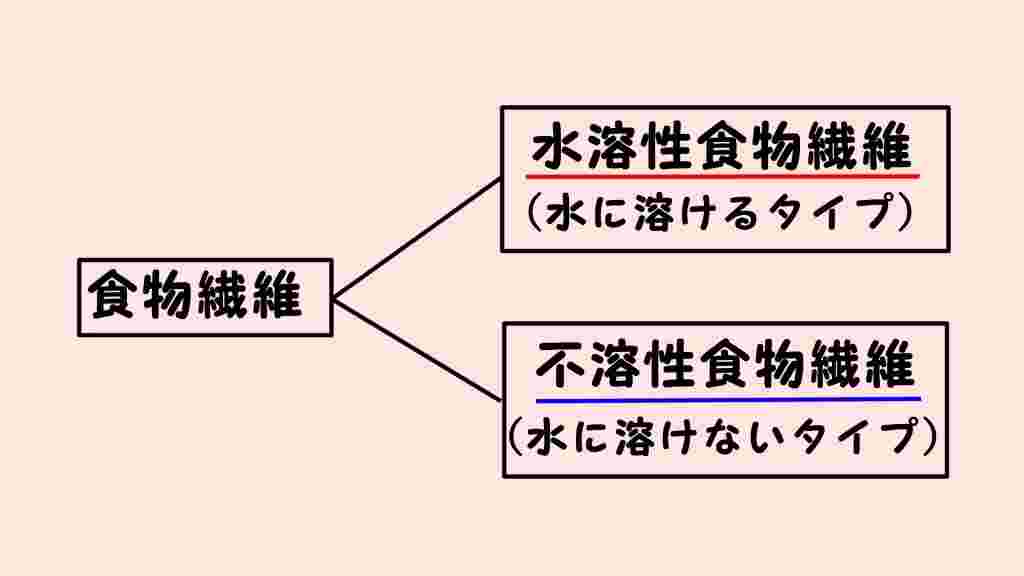 食物繊維の2つのタイプの図式