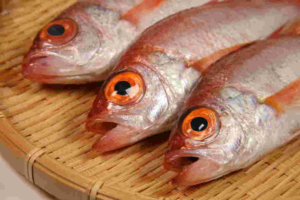 のどぐろ