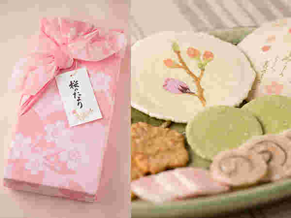 桂新堂の桜のたより