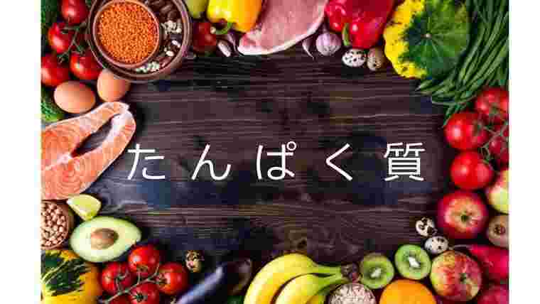 たんぱく質が含まれた肉や魚などの食材