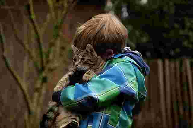 少年が猫をハグしている写真