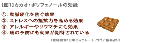 カカオポリフェノールの効能