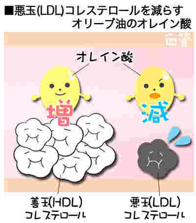 オレイン酸の効果