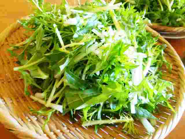 ざるに乗ったカットされた水菜