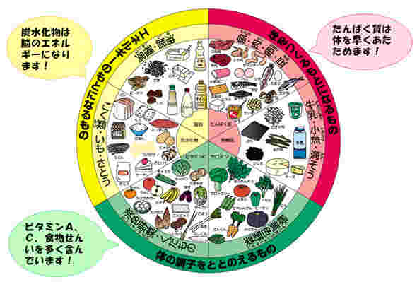 食品分類図