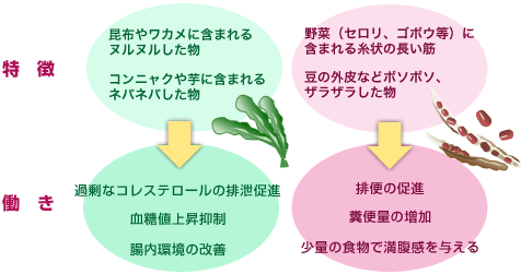 小豆の食物繊維の効果