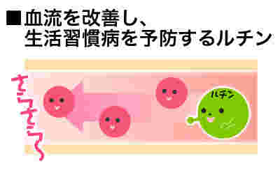 ルチンの血流改善効果