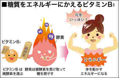 ビタミンB1の効果