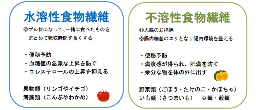 食物繊維の効果効能