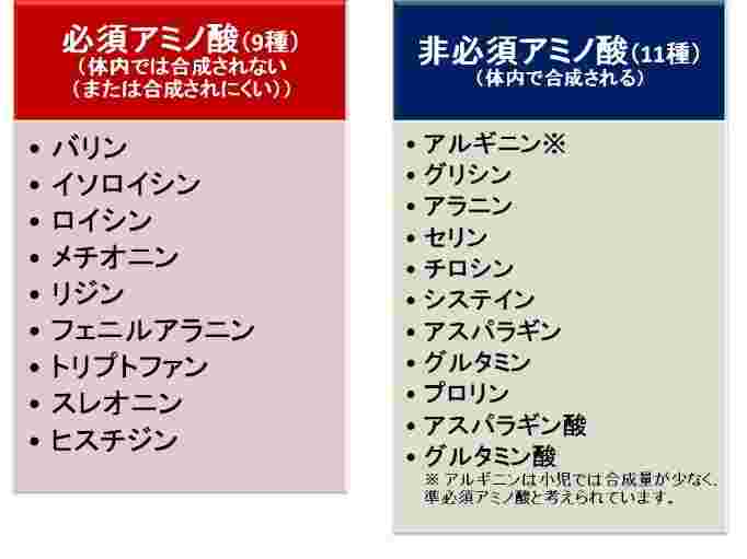 アミノ酸の種類一覧