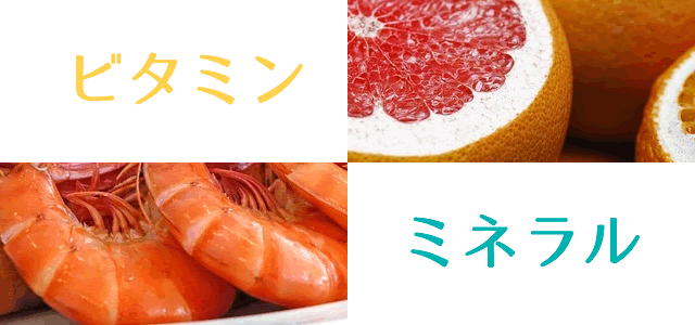 ビタミンやミネラルの文字と食材