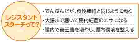レジスタントスターチの説明画像