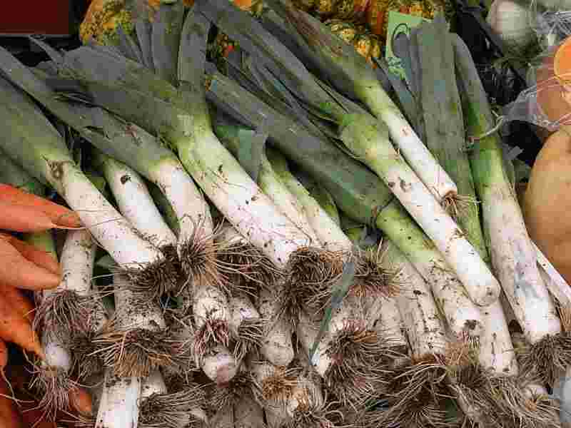 他の野菜と一緒に市場で売られるリーキ