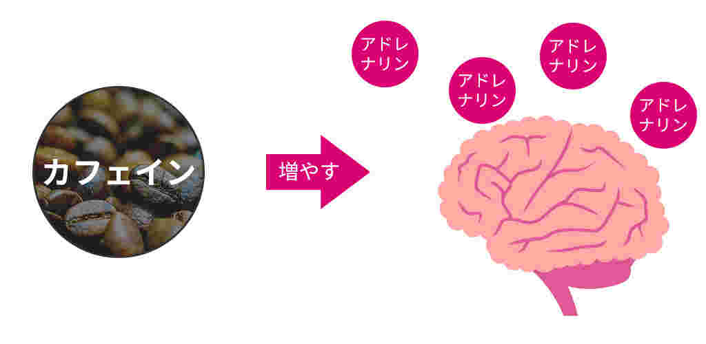 カフェインでアドレナリンを増やす