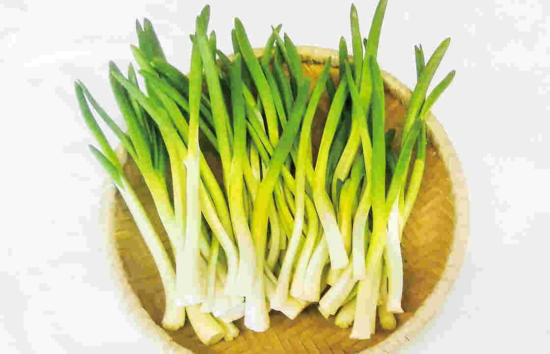 かごにのせられた栄養が豊富なたくさんのあさつき