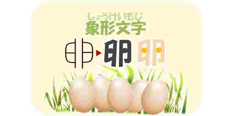 「卵」の象形文字イメージ