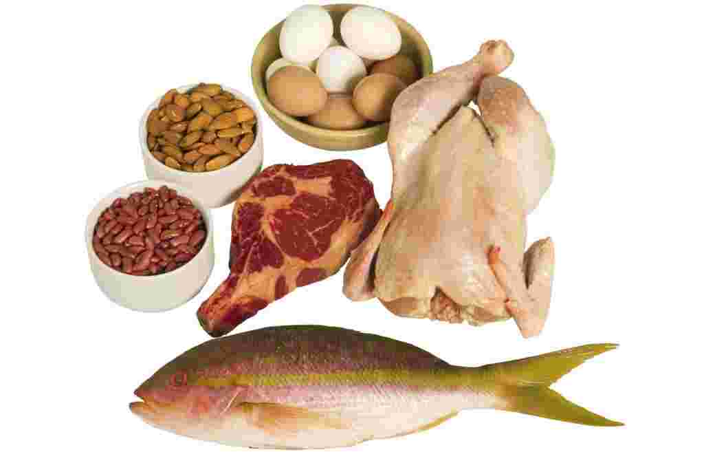 たまご、鶏肉、魚などの高タンパク質な食材が並んでいる