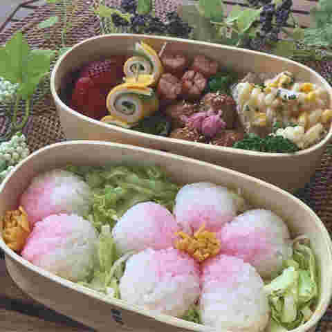 桜でんぶを使ったお弁当
