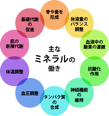 ミネラルの働き