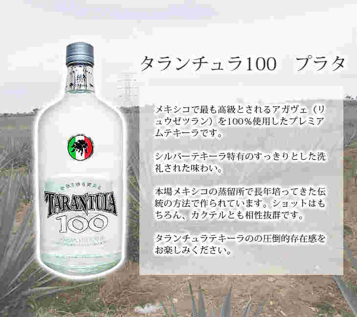 タランチュラ 100 プラタと説明文