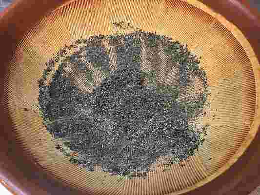 黒胡麻を摺っているところ