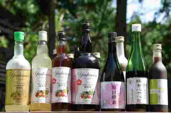 酵素ドリンク
