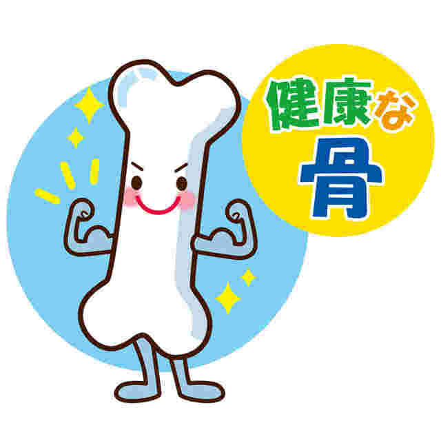健康的な骨のイラスト