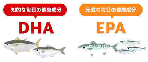 DHAとEPAと魚の画像