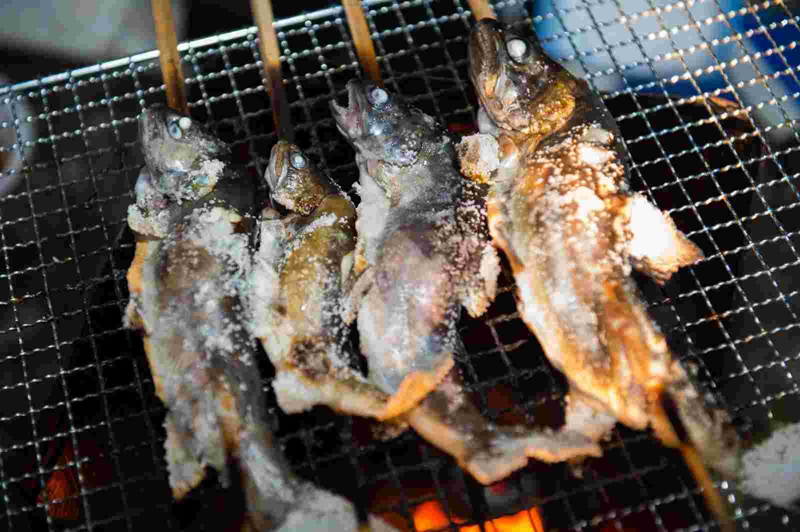 魚焼きグリル