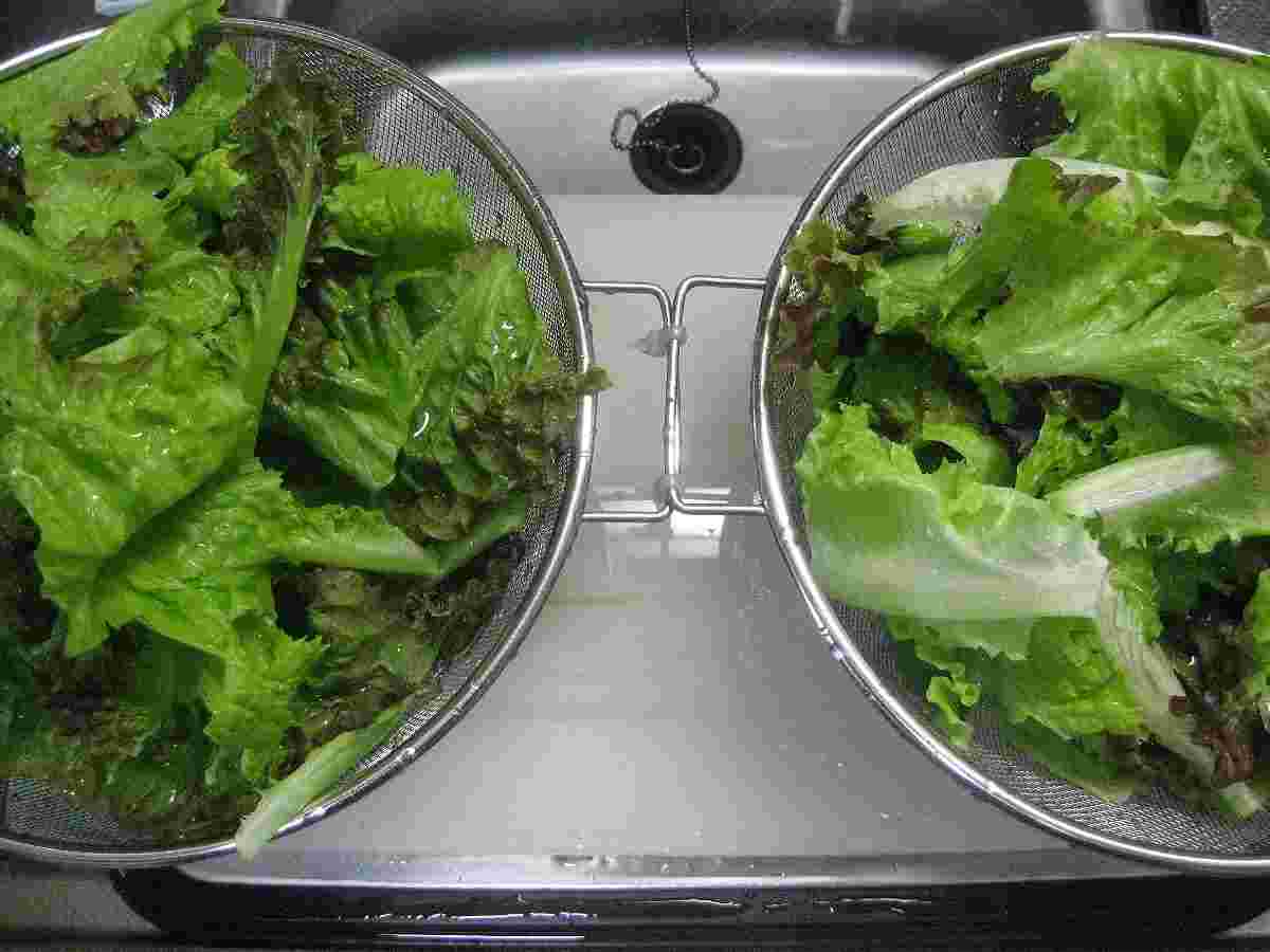 野菜の水切り