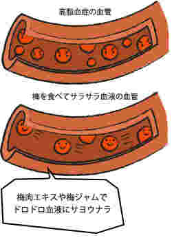 血液サラサラを示すイラスト