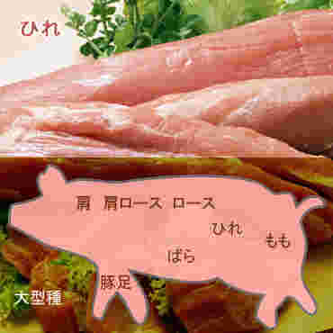 豚肉の部位を示した図