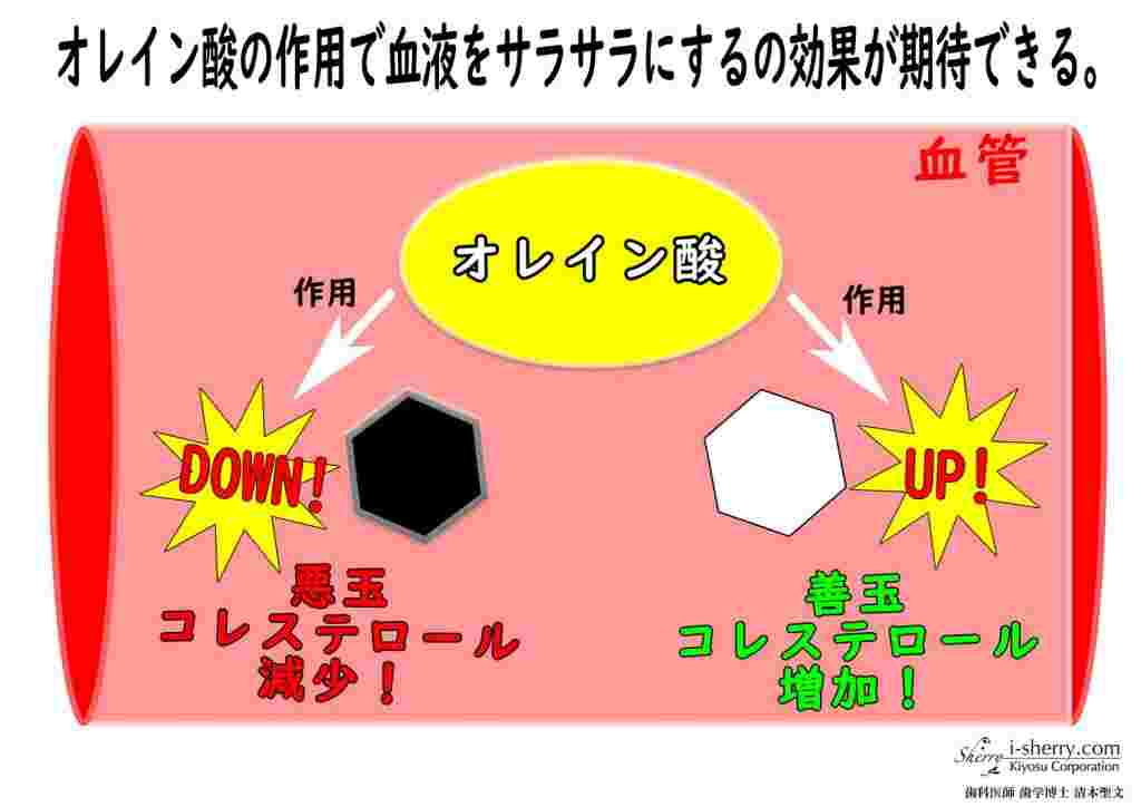 オレイン酸の効果効能
