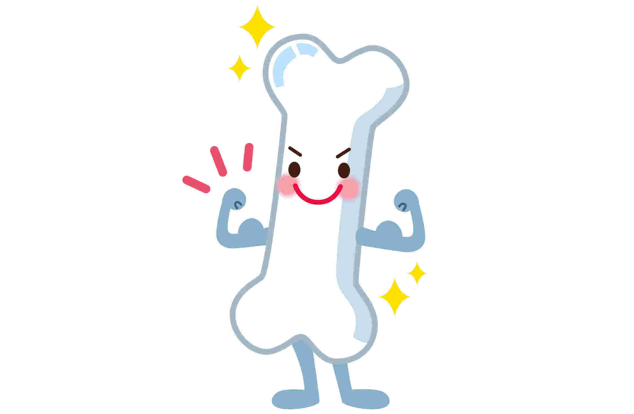 丈夫な骨