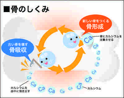 カルシウム