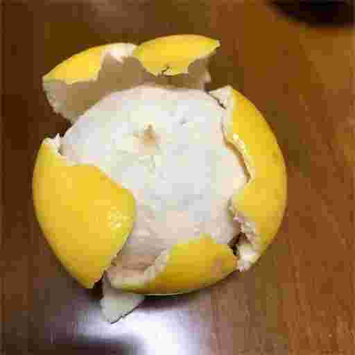 グレープフルーツを手で剥いて白い皮が残っている