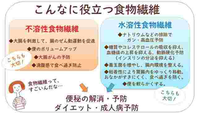 食物繊維の効果効能