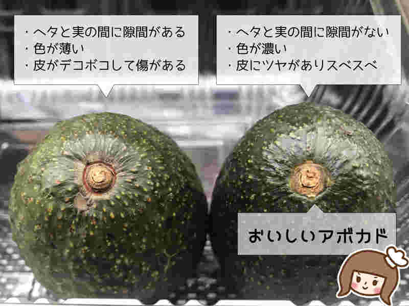 アボカドの選び方