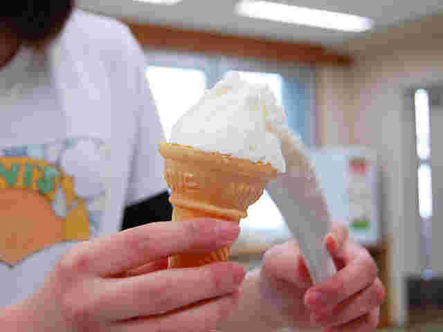 手作りのアイスをカップに盛り付ける女性