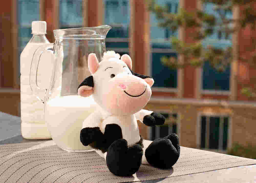 ピッチャーに入った牛乳を背にもたれて座る牛のぬいぐるみ