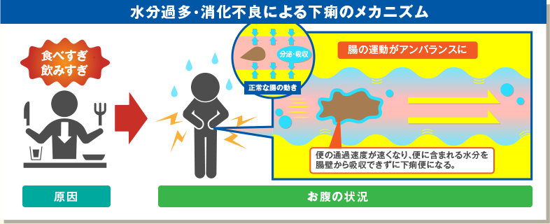 食べ過ぎと消化不良のメカニズム