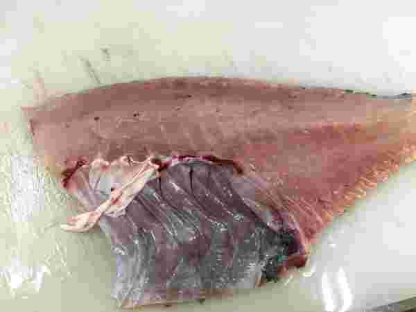 三枚におろしたブダイの片身