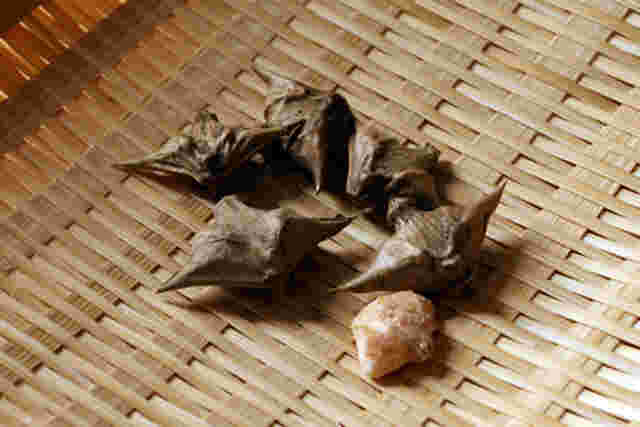 収穫した菱の実をざるに乗せている様子