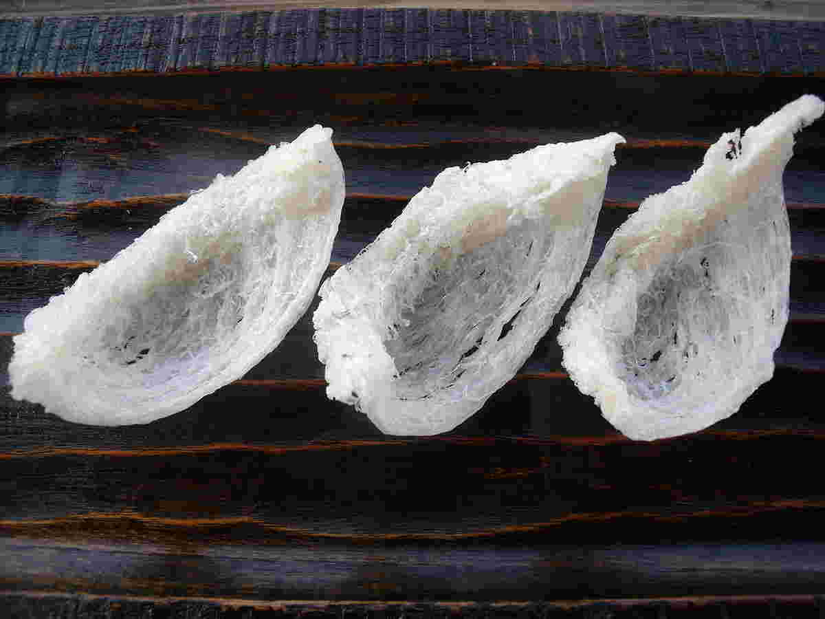 ツバメの巣