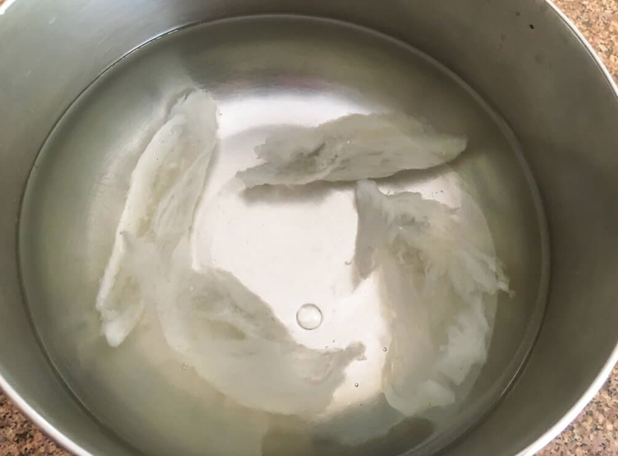 水に浸かっているツバメの巣
